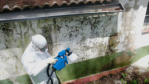 Top rated local Mold Remediation specialists in Louisville, GA